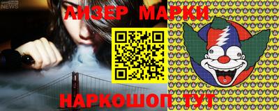 крисы Кулебаки
