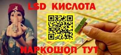 крисы Кулебаки