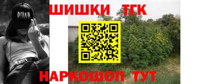 крисы Кулебаки