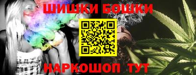 крисы Кулебаки