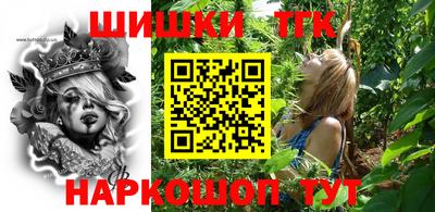 крисы Кулебаки